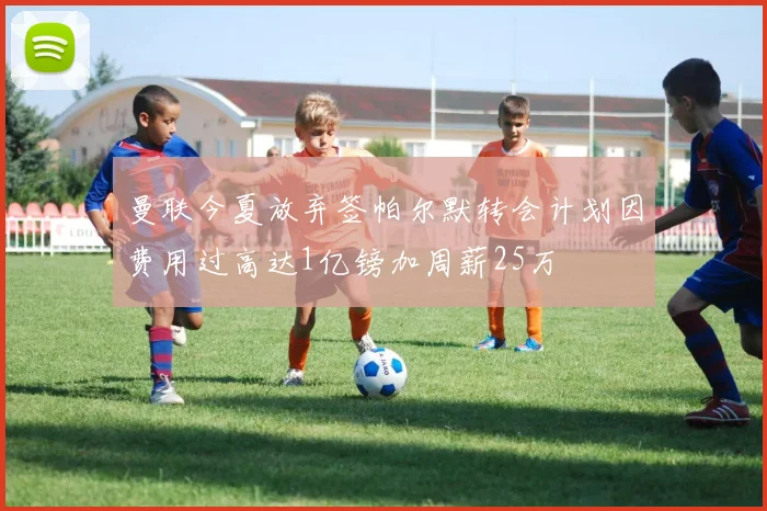 曼联今夏放弃签帕尔默转会计划因费用过高达1亿镑加周薪25万